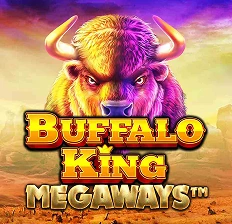 Buffalo King Megaways slot bij B7 Casino